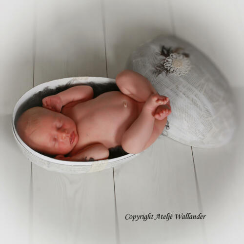 Nyföddfotografering Ateljé Wallander i Kalmar